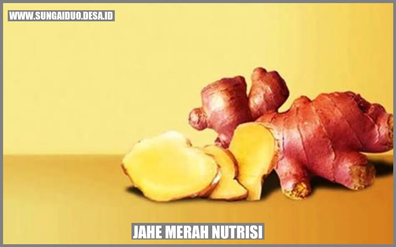 Jahe Merah Nutrisi