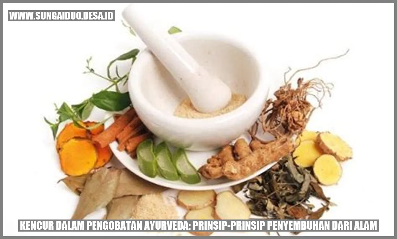 Kencur Dalam Pengobatan Ayurveda Prinsip Prinsip Penyembuhan Dari Alam