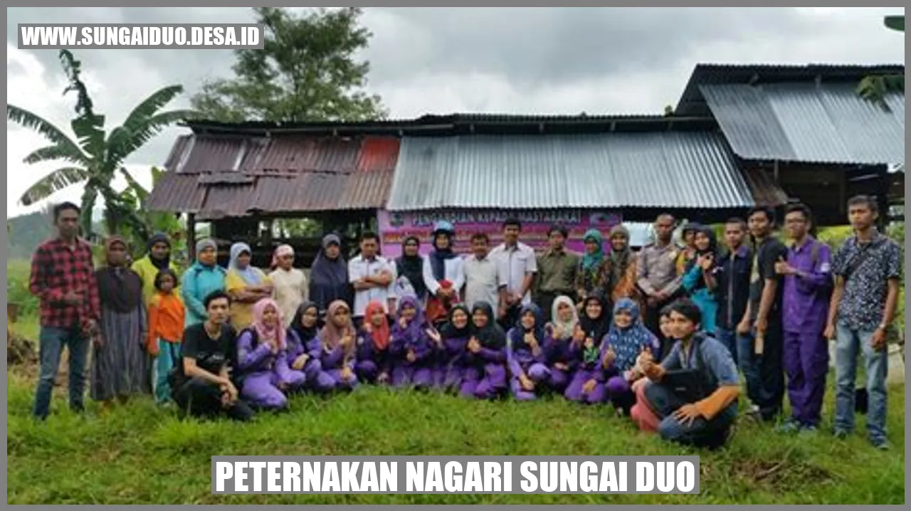 Peternakan Nagari Sungai Duo